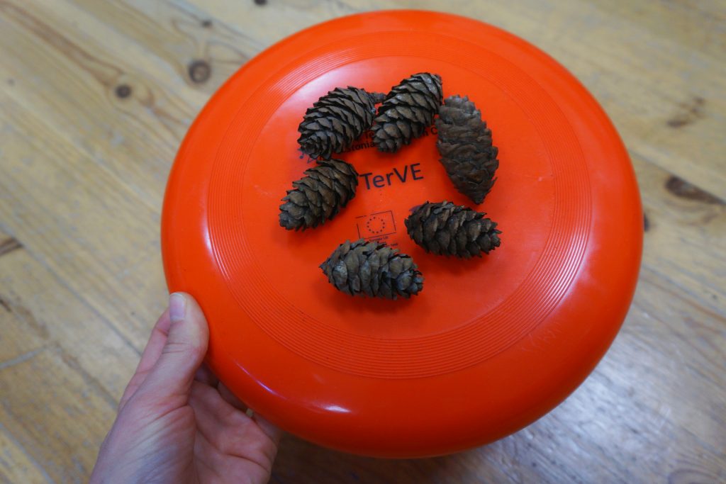 Distantsi mõõtmine