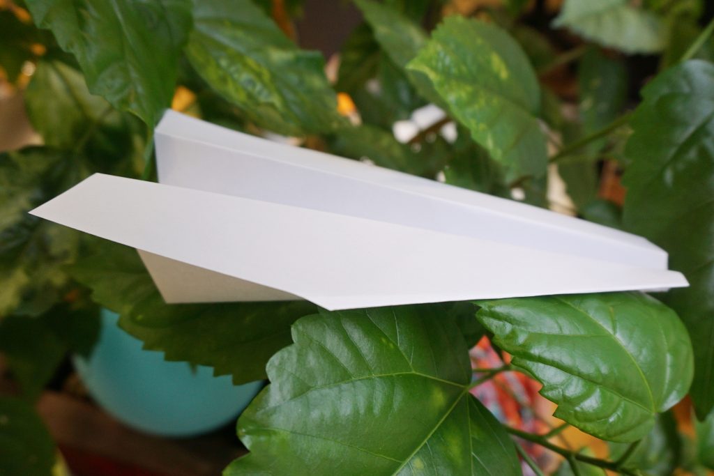 Lennukite lennutamine