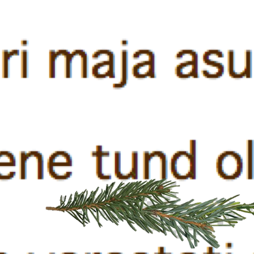 Tekstist sõnade leidmine õues